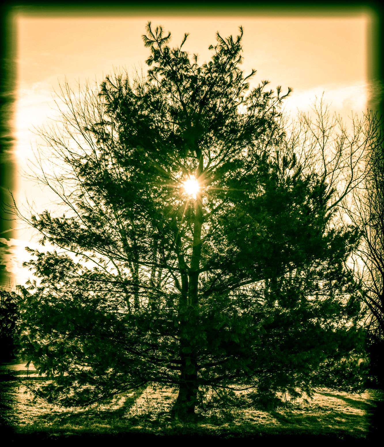 Taltree Arboretum & Gardens